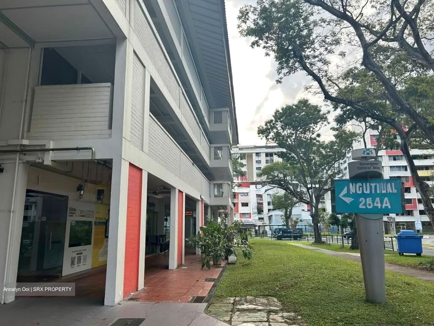 Serangoon Central Drive (D19), Shop House #554253461